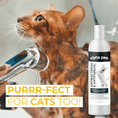 Load image into Gallery viewer, Antibacterial & Antifungal Medicated Shampoo | Alpha Paw
