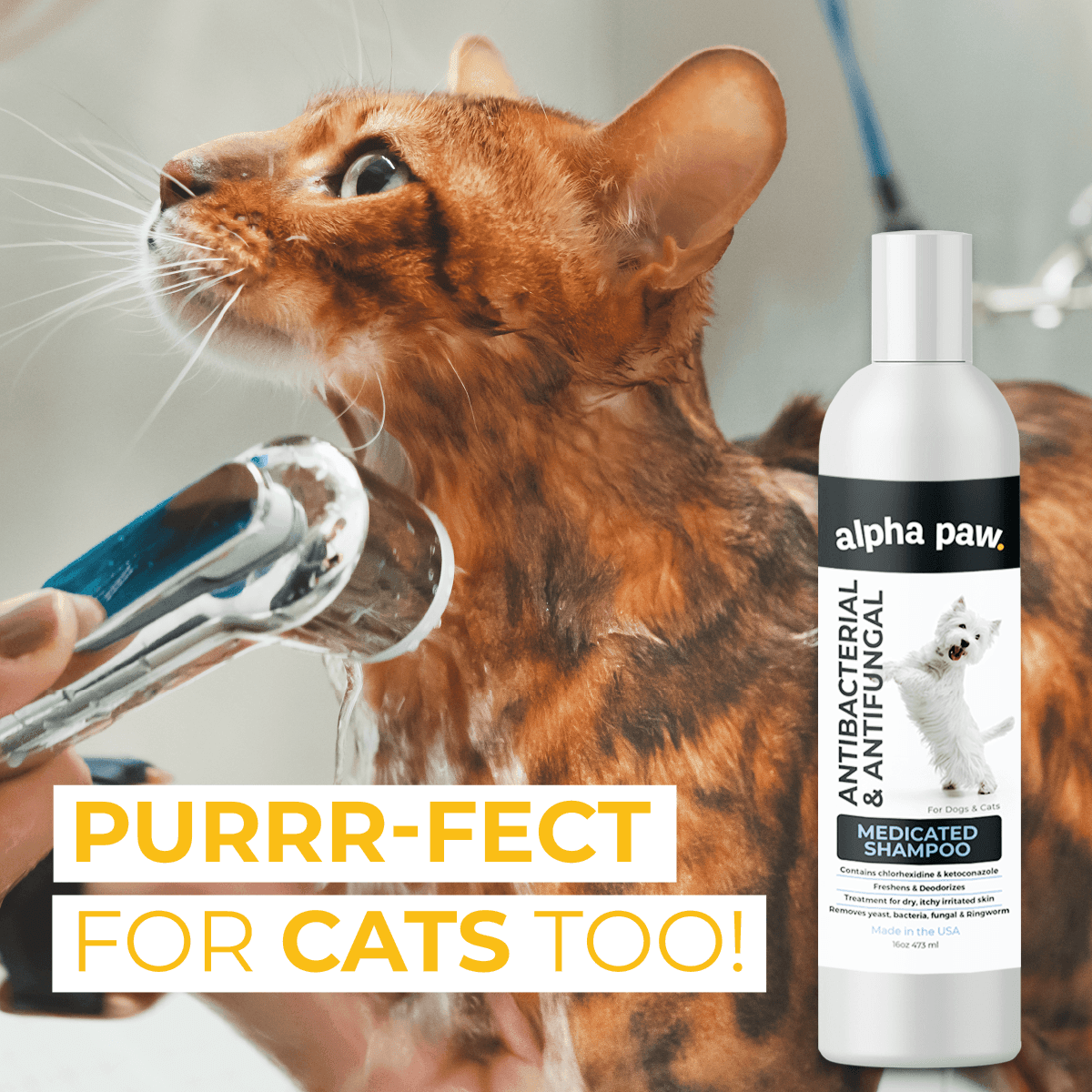 Antibacterial & Antifungal Medicated Shampoo | Alpha Paw