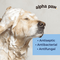 Load image into Gallery viewer, Antibacterial & Antifungal Medicated Shampoo | Alpha Paw
