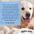 Load image into Gallery viewer, Antibacterial & Antifungal Medicated Shampoo | Alpha Paw
