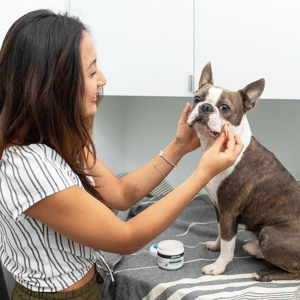 Antibacterial & Antifungal Medicated Wipes | Alpha Paw