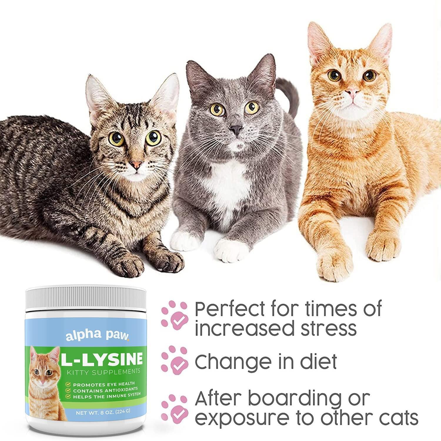 Cat L-Lysine | Alpha Paw