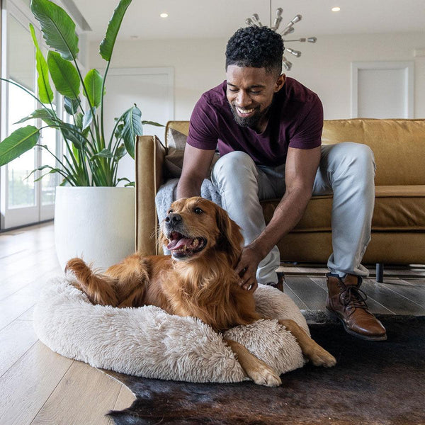 Comfortable Beds for Dogs Cozy Calming™ Alpha Paw