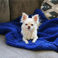 Load image into Gallery viewer, Cozy Calming™ Blanket | Alpha Paw

