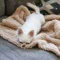 Load image into Gallery viewer, Cozy Calming™ Blanket | Alpha Paw
