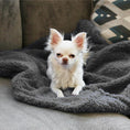 Load image into Gallery viewer, Cozy Calming™ Blanket | Alpha Paw
