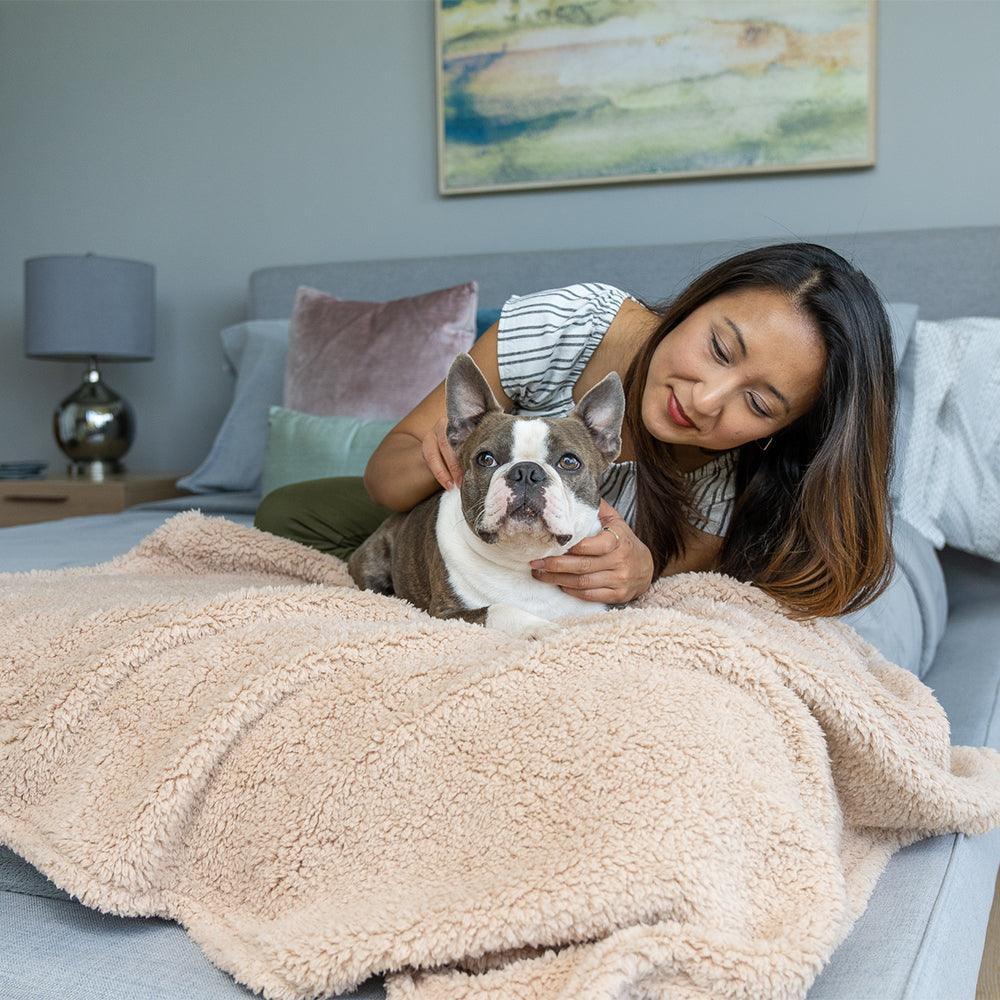Cozy Calming™ Blanket | Alpha Paw