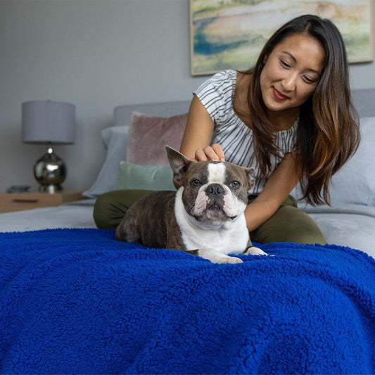 Cozy Calming™ Blanket | Alpha Paw