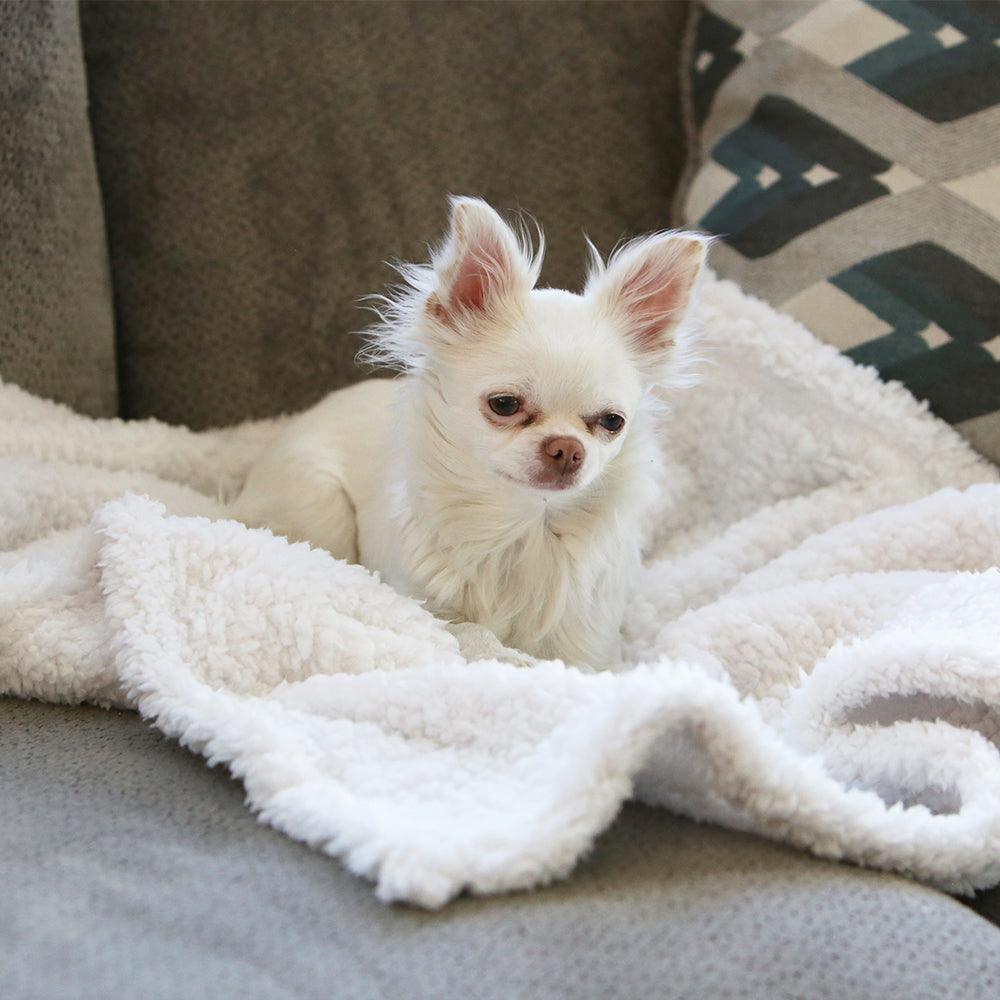 Cozy Calming™ Blanket | Alpha Paw