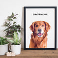 Load image into Gallery viewer, Custom Modern Pet Portrait | Alpha Paw
