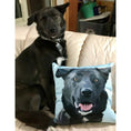 Load image into Gallery viewer, Custom Pet Couch Pillow with Cover | Alpha Paw
