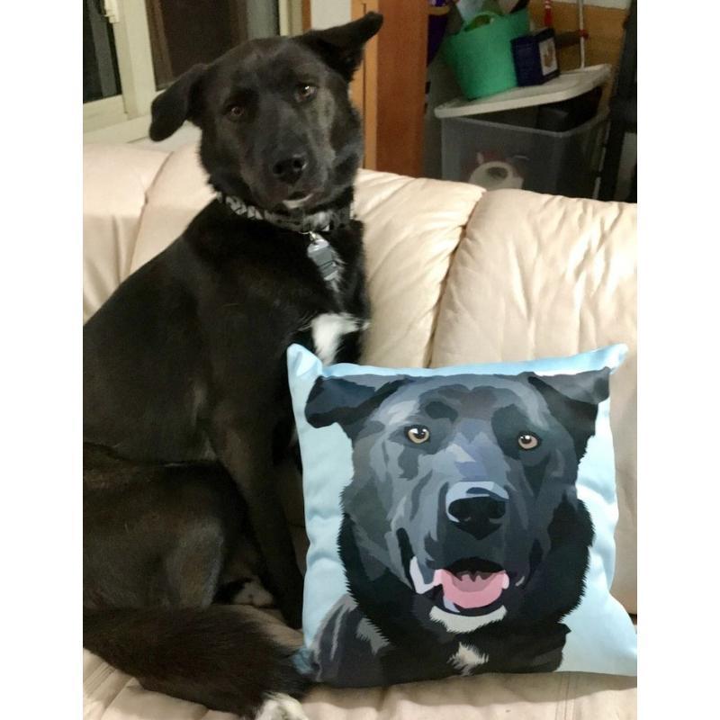 Custom Pet Couch Pillow with Cover | Alpha Paw