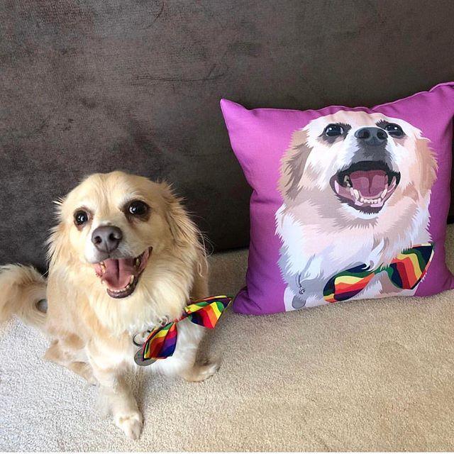 Custom Pet Couch Pillow with Cover | Alpha Paw