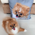 Load image into Gallery viewer, Custom Pet Couch Pillow with Cover | Alpha Paw
