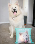 Load image into Gallery viewer, Custom Pet Couch Pillow with Cover | Alpha Paw
