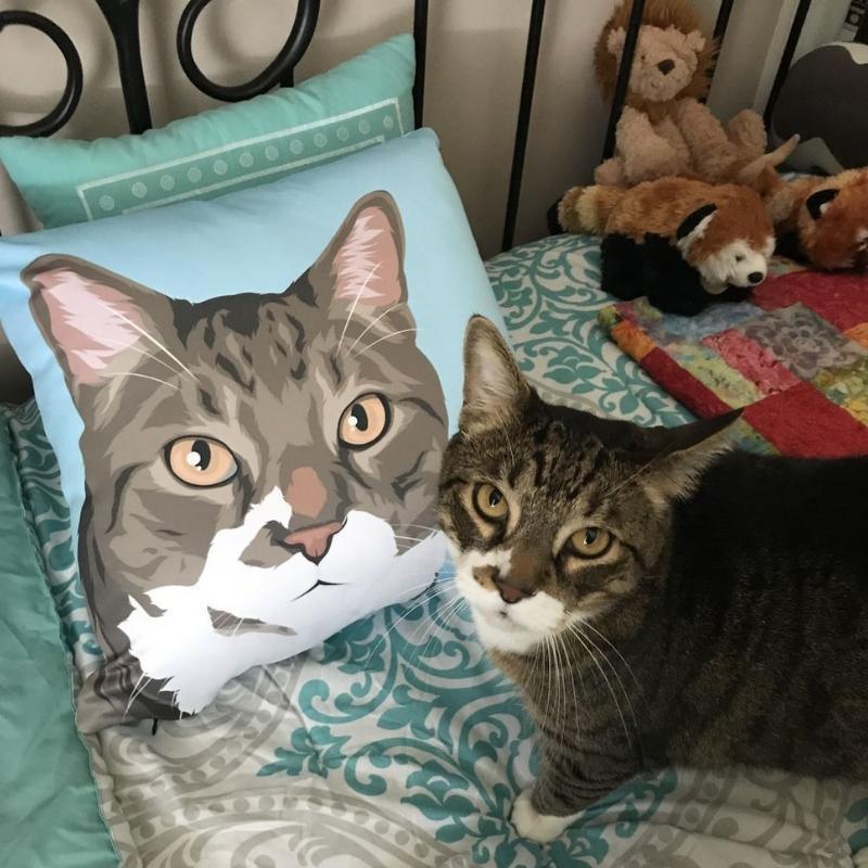Custom Pet Couch Pillow with Cover | Alpha Paw
