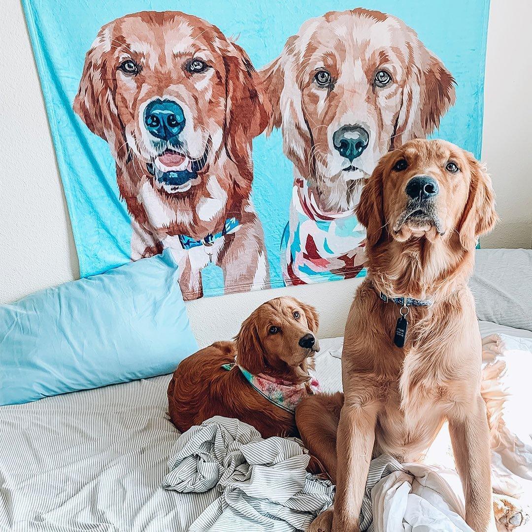 Custom Pet Fleece Blanket | Alpha Paw