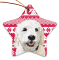 Load image into Gallery viewer, Custom Pet Ornament | Alpha Paw
