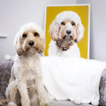 Load image into Gallery viewer, Custom Pet Poster | Alpha Paw
