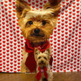 Load image into Gallery viewer, Custom Pet Sherpa Blanket | Alpha Paw
