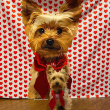 Load image into Gallery viewer, Custom Pet Sherpa Blanket | Alpha Paw
