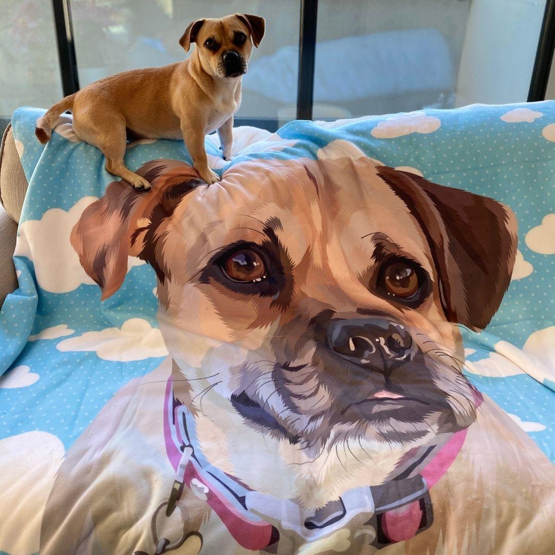 Custom Pet Sherpa Blanket | Alpha Paw