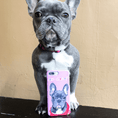 Load image into Gallery viewer, Custom Pet Snap Case | Alpha Paw
