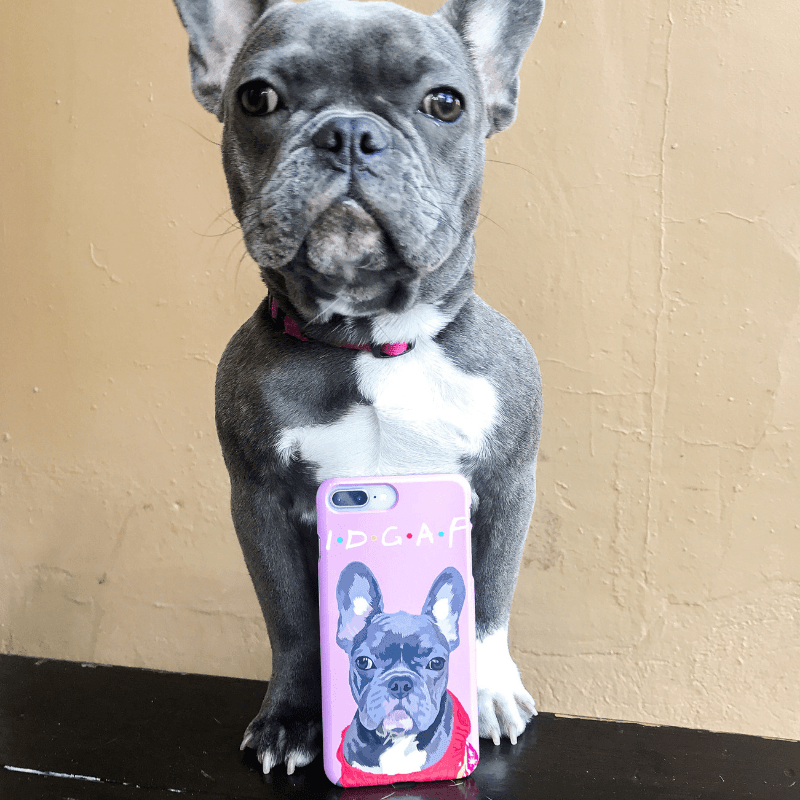 Custom Pet Snap Case | Alpha Paw