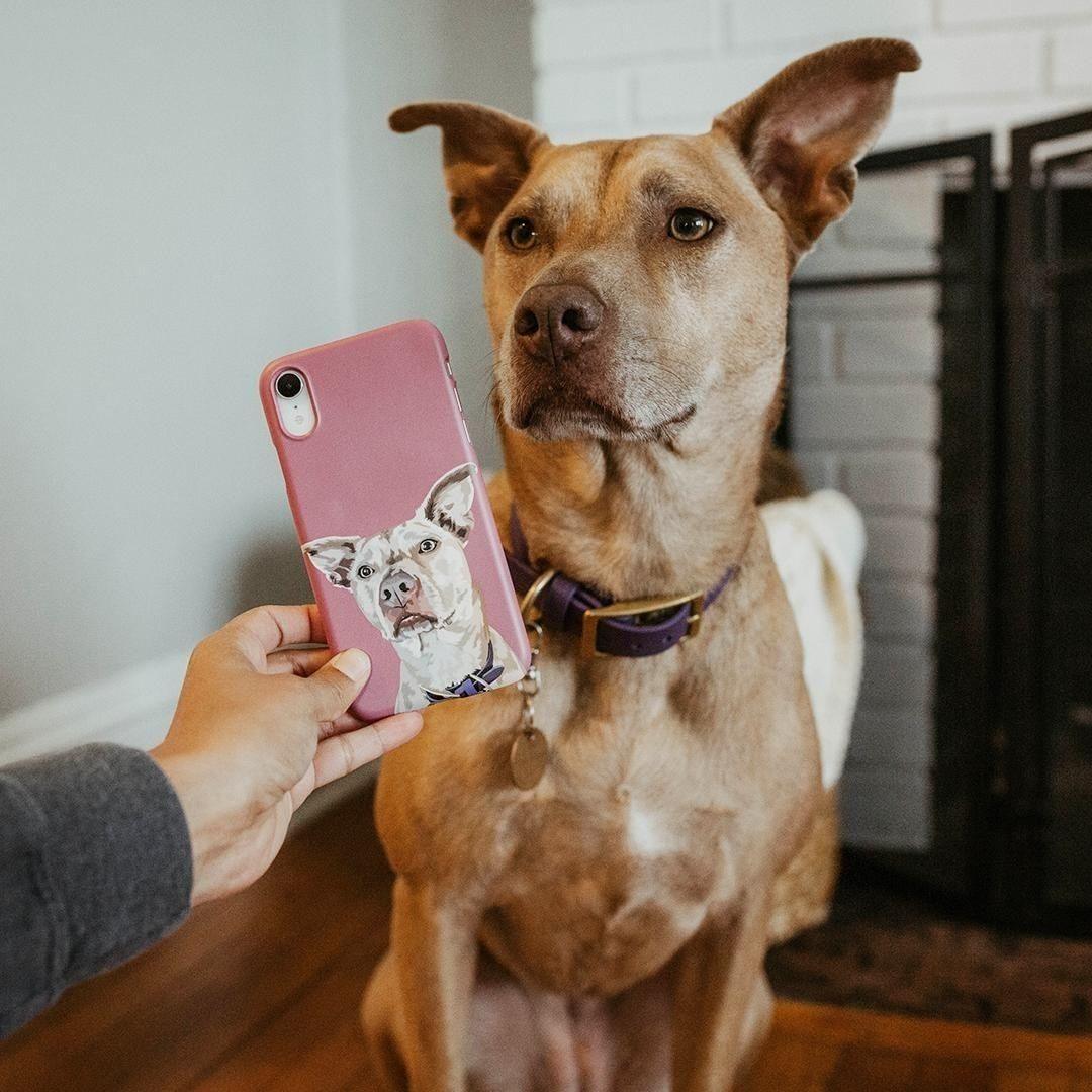 Custom Pet Snap Case | Alpha Paw