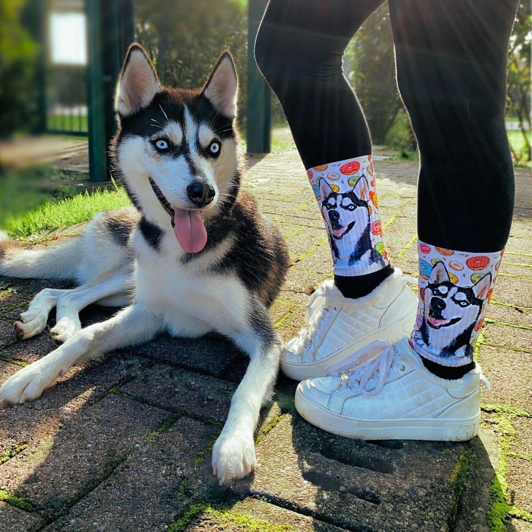 Custom Pet Socks | Alpha Paw