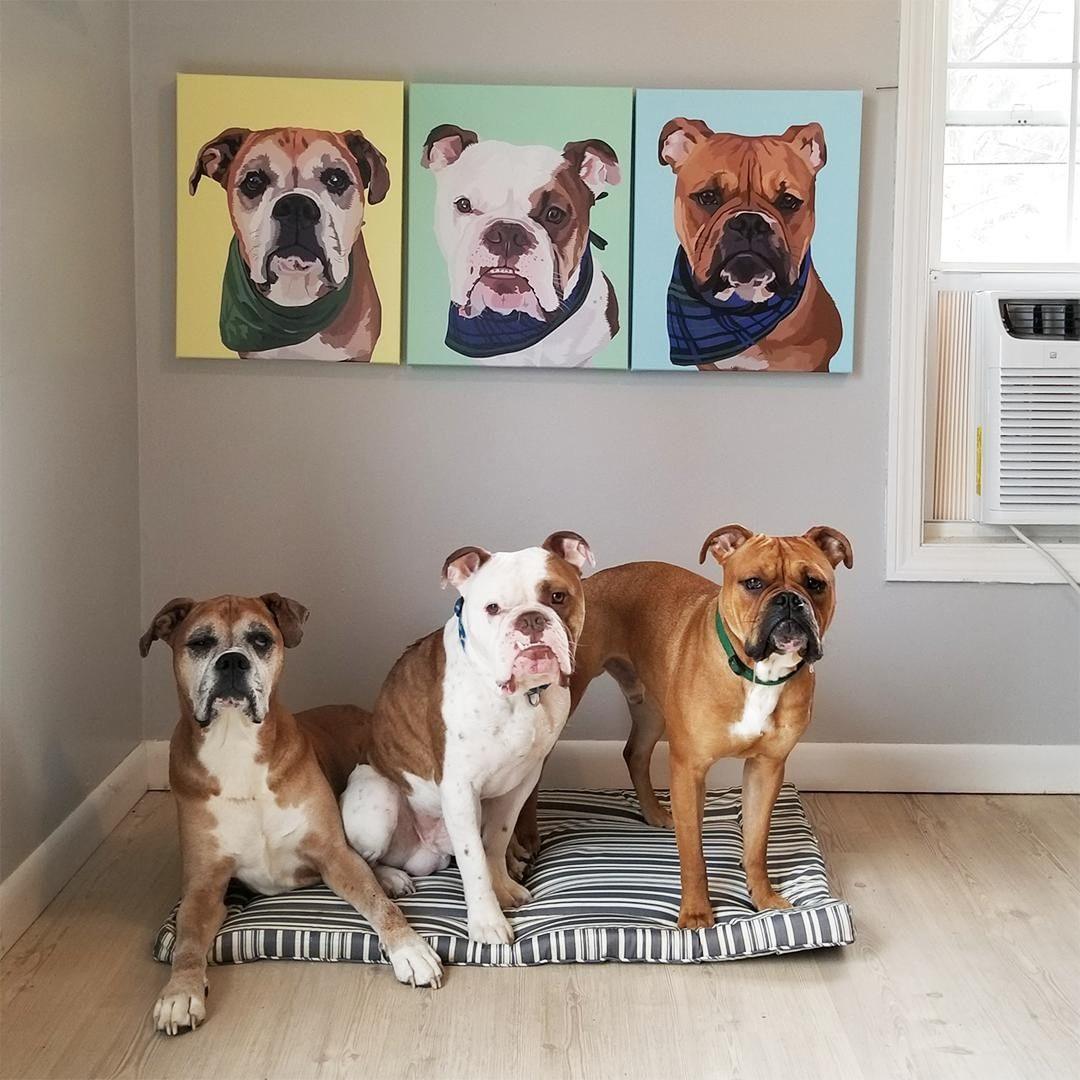 Custom Wrapped Canvas | Alpha Paw