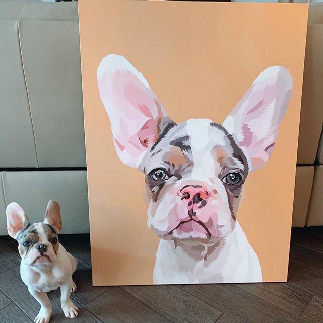 Custom Wrapped Canvas | Alpha Paw