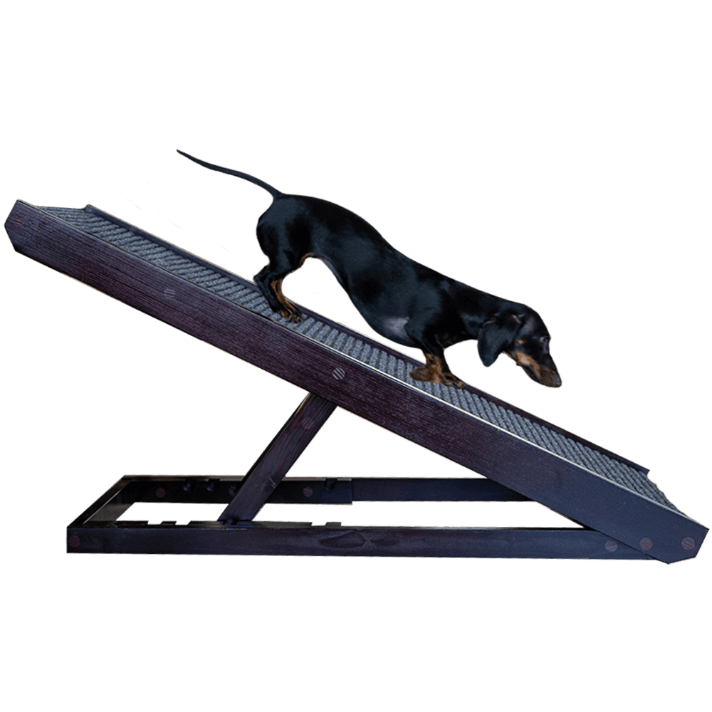 DachRamp™ | Alpha Paw