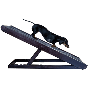 DachRamp™ | Alpha Paw