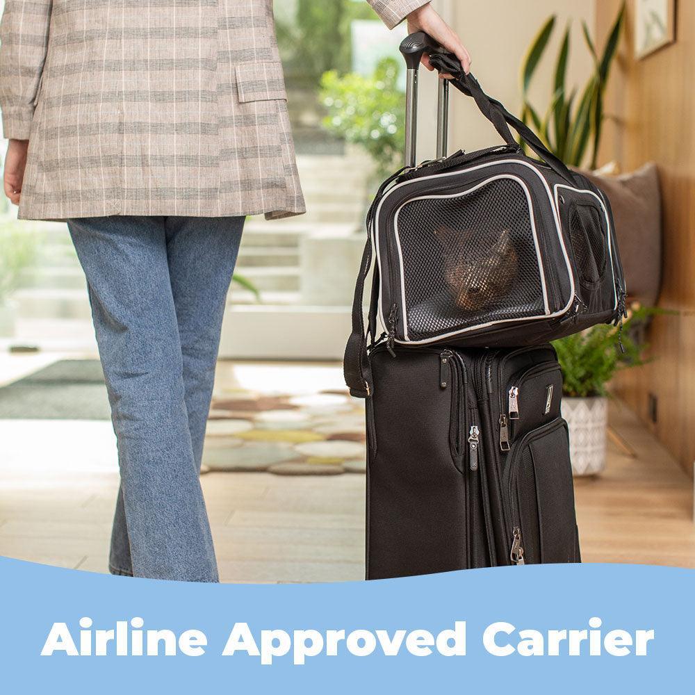 Expandable Pet Carrier | Alpha Paw