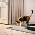 Load image into Gallery viewer, Cat Litter Mat | Alpha Paw
