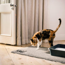 Load image into Gallery viewer, Cat Litter Mat | Alpha Paw
