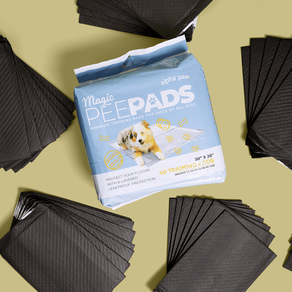 Magic Pee Pads XL | Alpha Paw