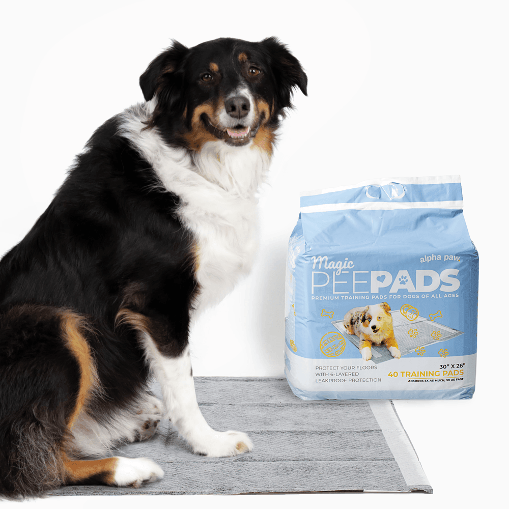 Alpha Paw - Dog Pee Pads, Extra Thick Disposable | Ubuy