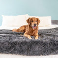 Load image into Gallery viewer, PawProof™ Throw Blanket | Alpha Paw
