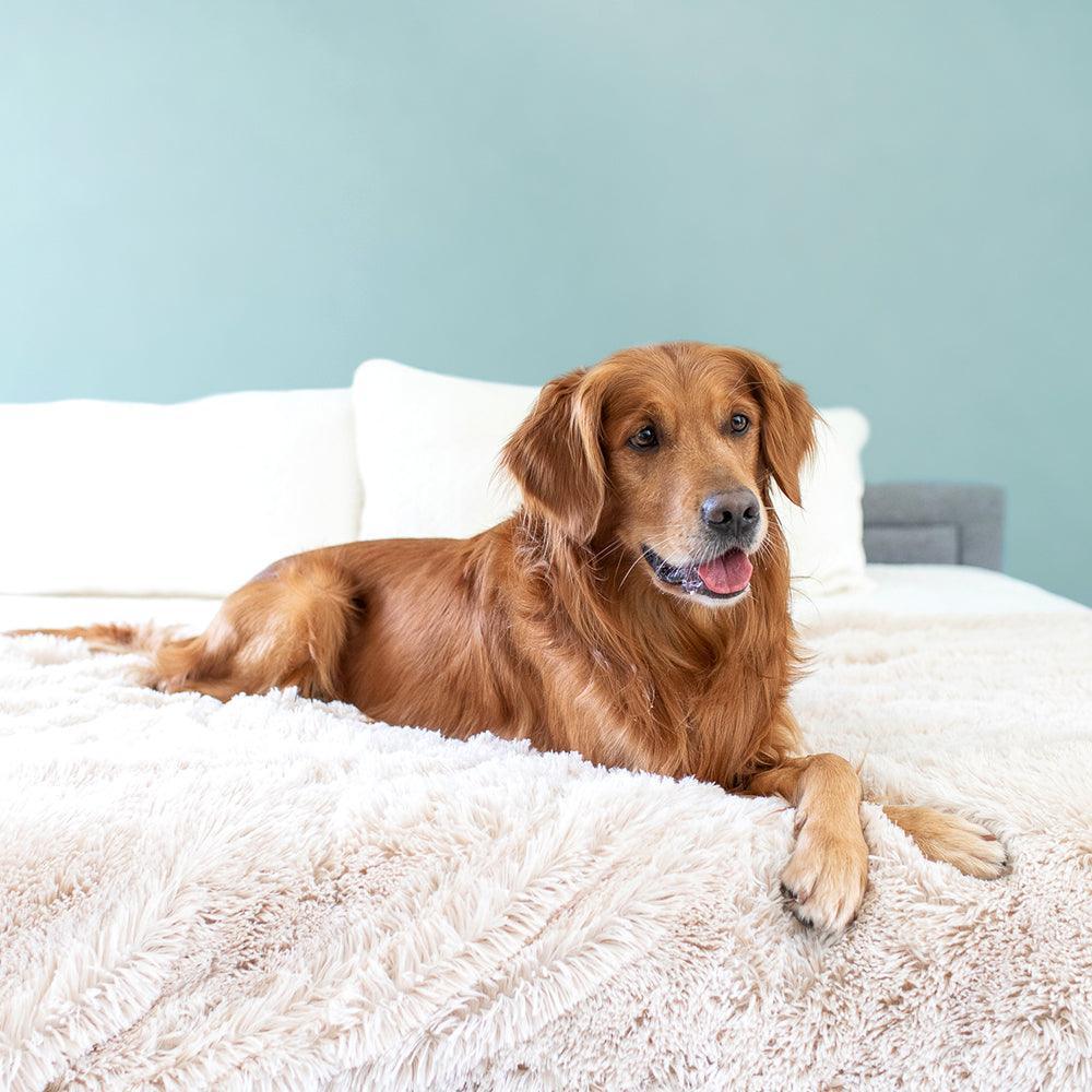 I Love Golden Retrievers Throw Blanket