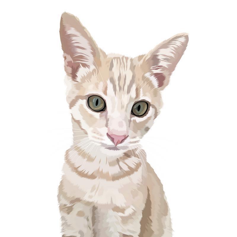 Personalized Pet Art (Digital) | Alpha Paw