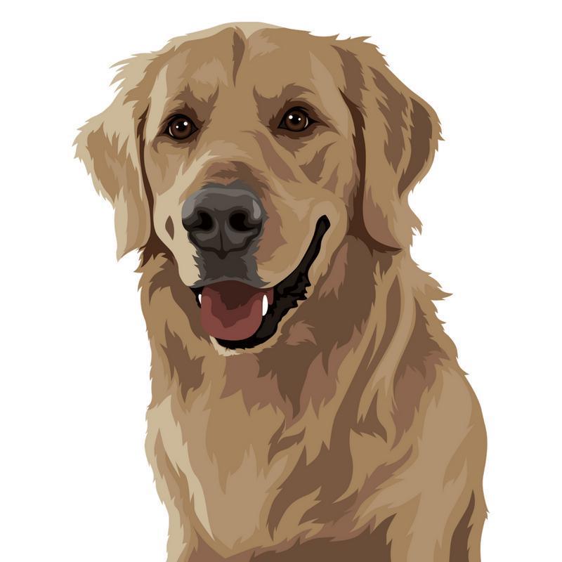 Personalized Pet Art (Digital) | Alpha Paw