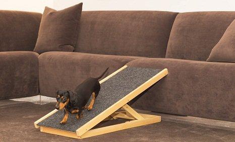 8 "dachshund things" only owners will understand!