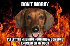 The Best Dachshund Memes Ever!