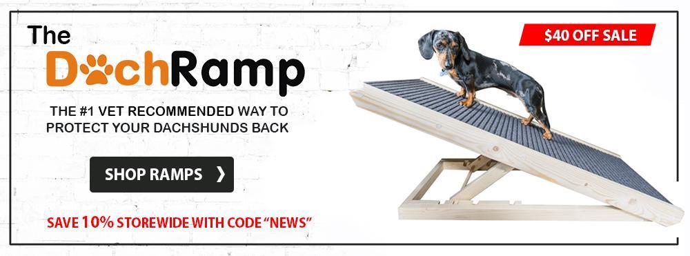 Dog ramp