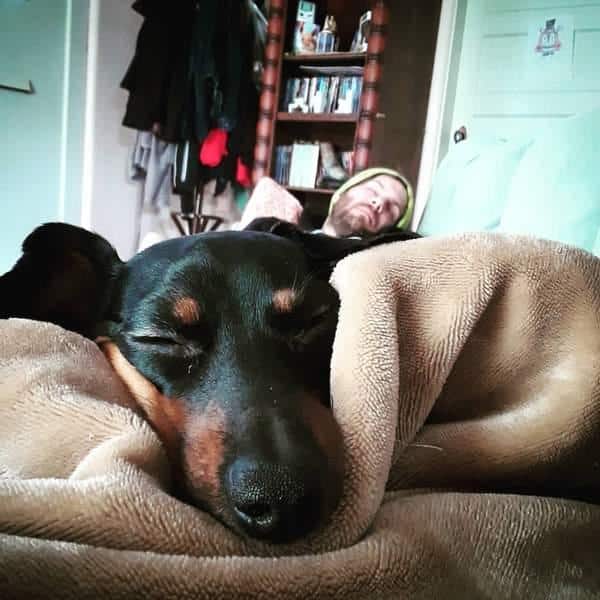 The top 5 doxie nap positions - with pictures