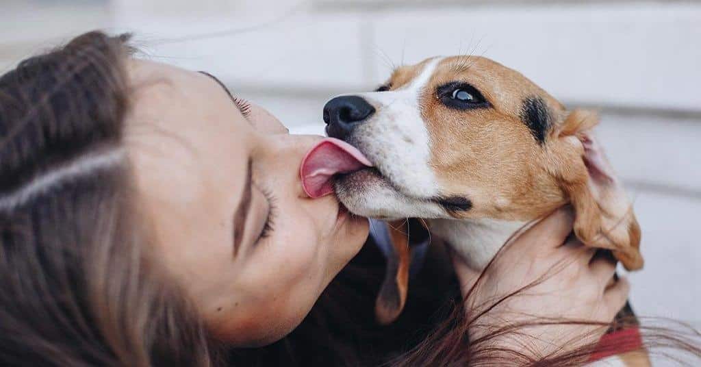 ways your dog shows they love you licking