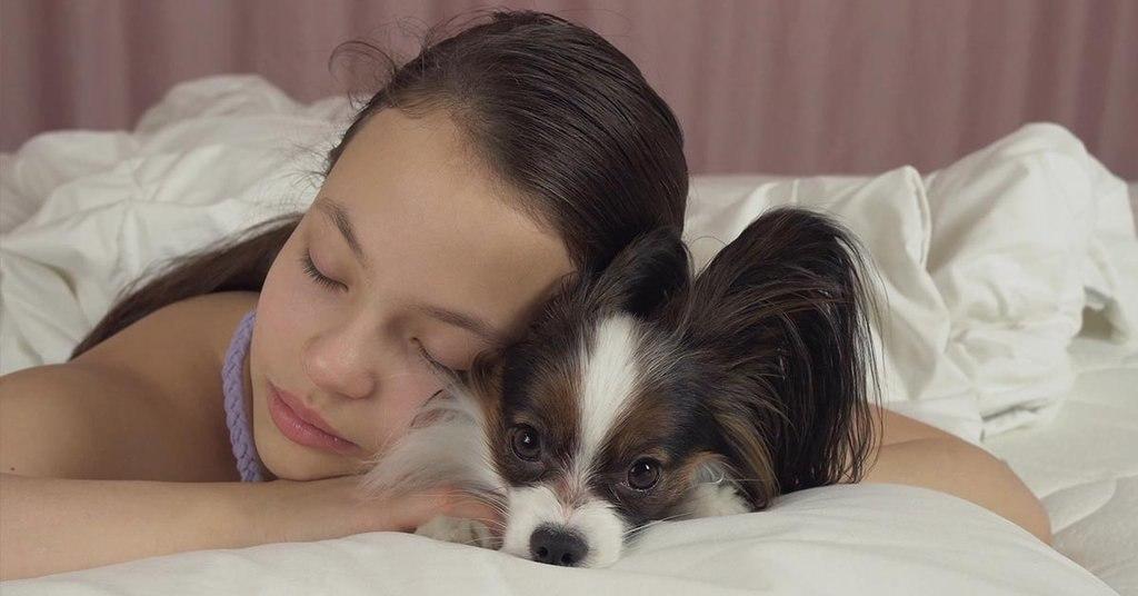 ways your dog shows they love you cuddling