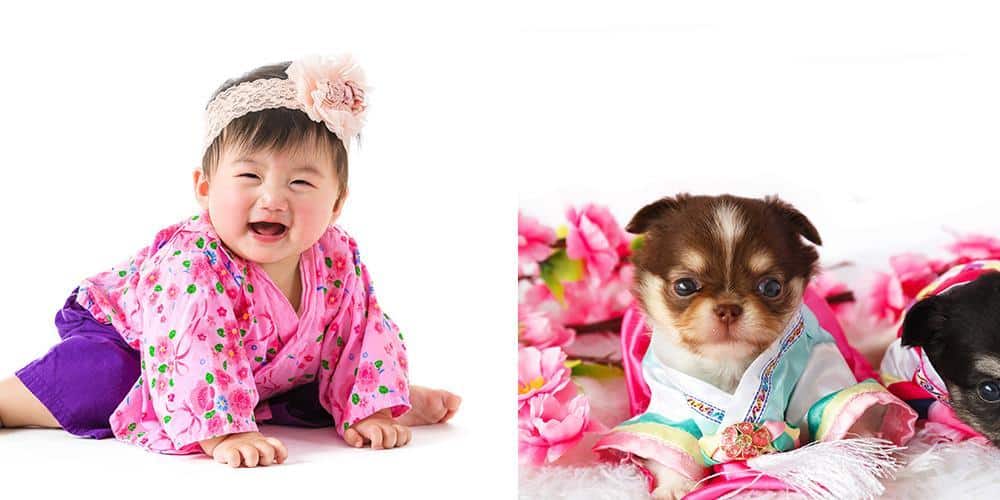 Puppy photoshoots are trending - and here's why